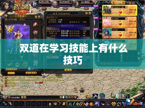  双道在学习技能上有什么技巧