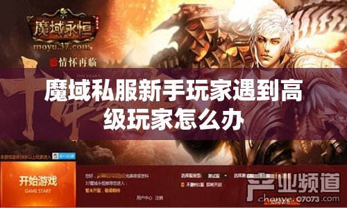 魔域私服新手玩家遇到高级玩家怎么办