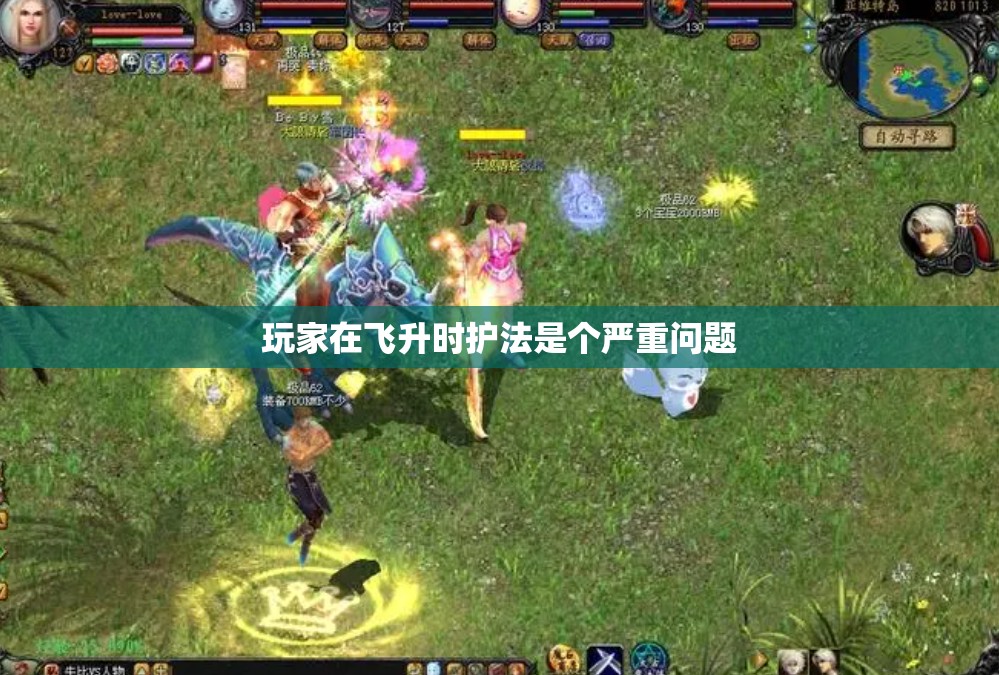 玩家在飞升时护法是个严重问题