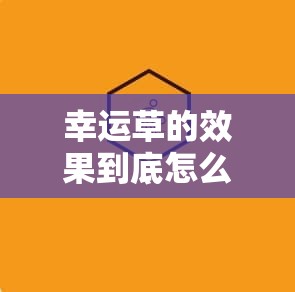 幸运草的效果到底怎么样