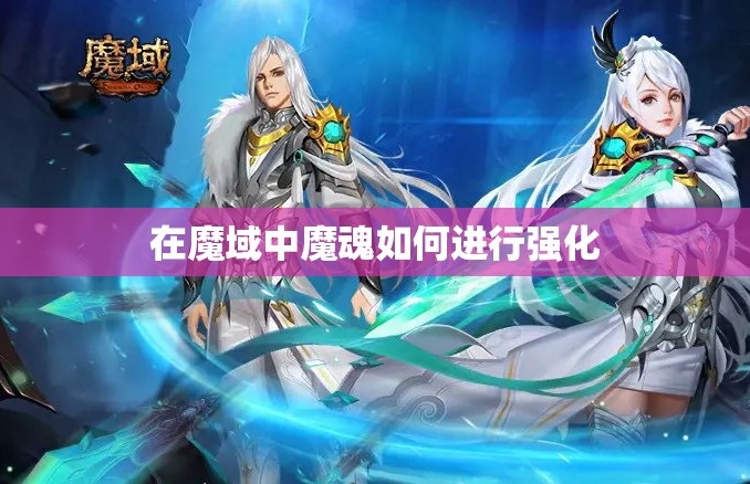 在魔域中魔魂如何进行强化
