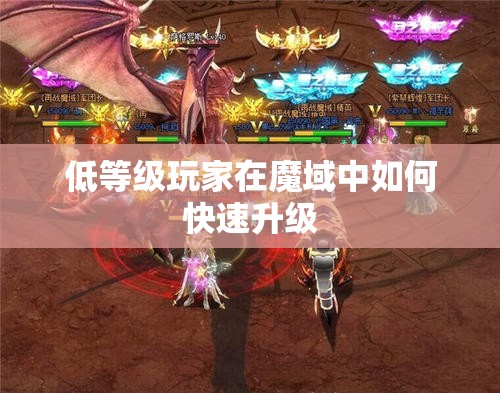 低等级玩家在魔域中如何快速升级