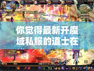 你觉得最新开魔域私服的道士在团战中起到哪些作用？