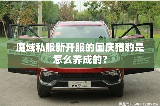 魔域私服新开服的国庆猎豹是怎么养成的？