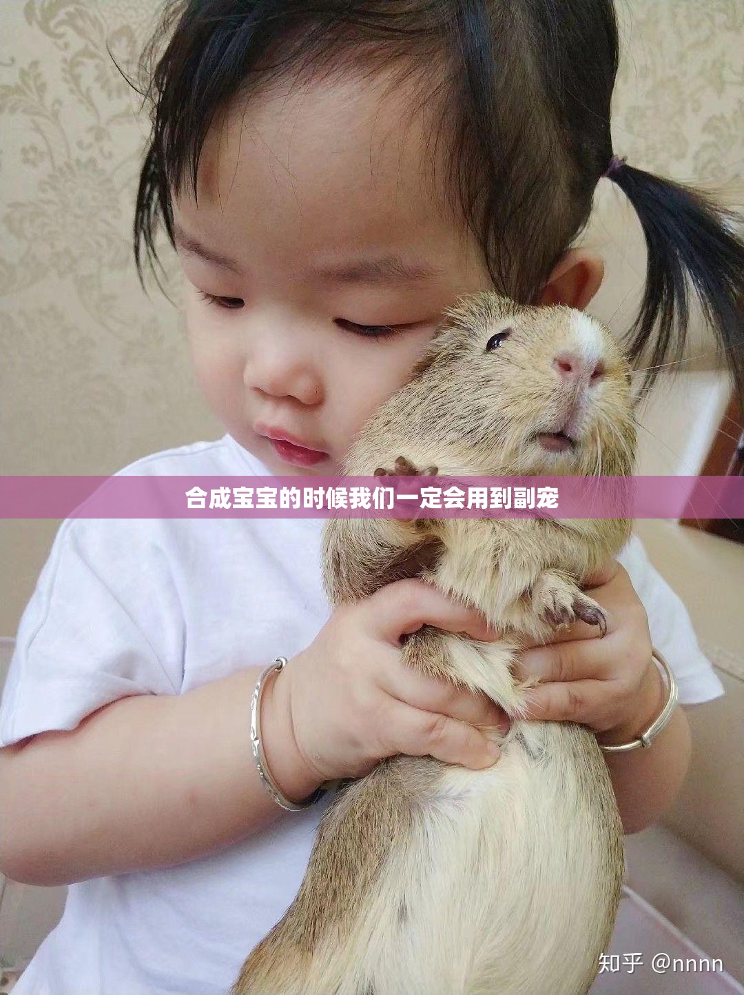 合成宝宝的时候我们一定会用到副宠