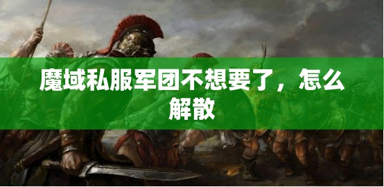 魔域私服军团不想要了，怎么解散