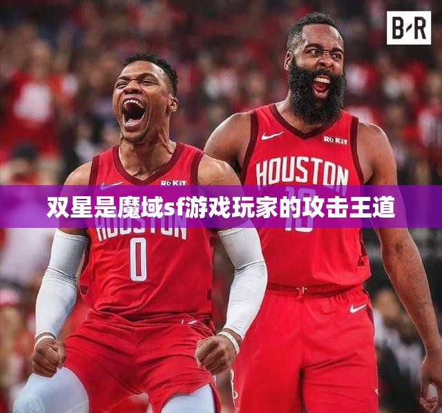 双星是魔域sf游戏玩家的攻击王道