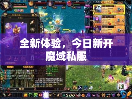 全新体验，今日新开魔域私服