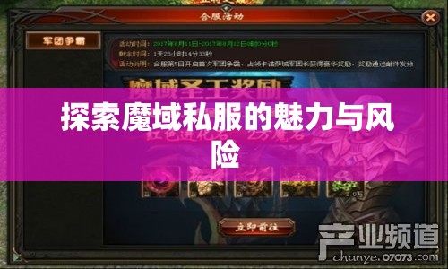  探索魔域私服的魅力与风险