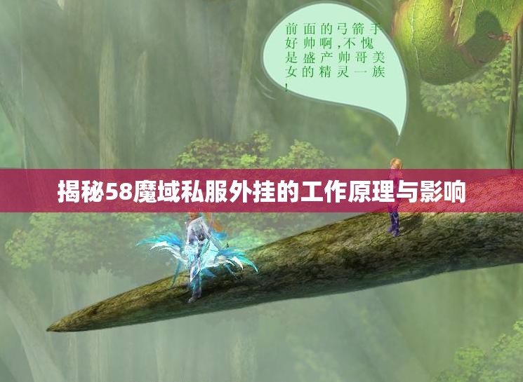 揭秘58魔域私服外挂的工作原理与影响
