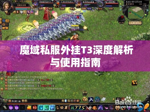  魔域私服外挂T3深度解析与使用指南