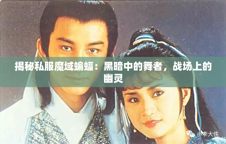 揭秘私服魔域蝙蝠：黑暗中的舞者，战场上的幽灵