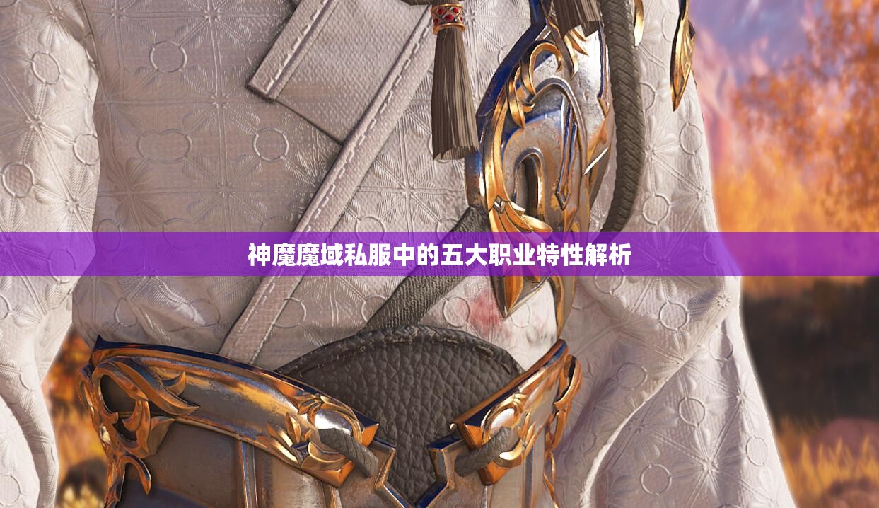 神魔魔域私服中的五大职业特性解析