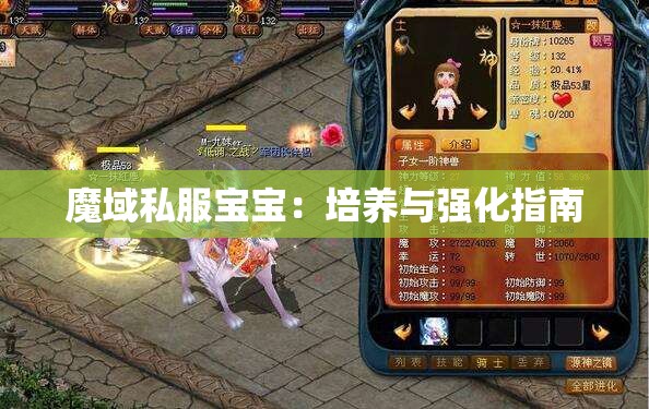 魔域私服宝宝：培养与强化指南