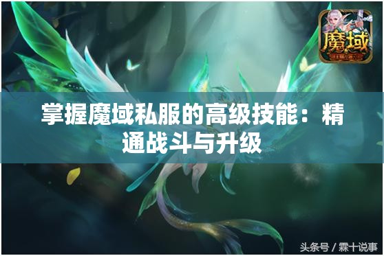 掌握魔域私服的高级技能：精通战斗与升级