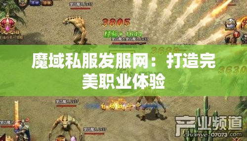 魔域私服发服网：打造完美职业体验